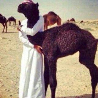 ‏نشوم عن درب ﺎلردى واللي يوالينا يشوم
سمآ سمآ دايم سما وهل ﺎلوطى تبّا لها