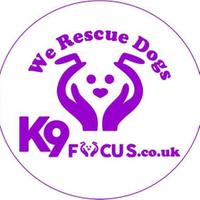 K9focus (@k9focusrescue) 's Twitter Profile