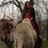 DhesiAvnish's profile image