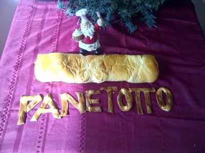 PANETOTTO es una empresa creada desde el 2010. cuando surgio una idea de elaborar un Pan Navideño, que bien siguiera la tradición, innovará en un Pan artesanal