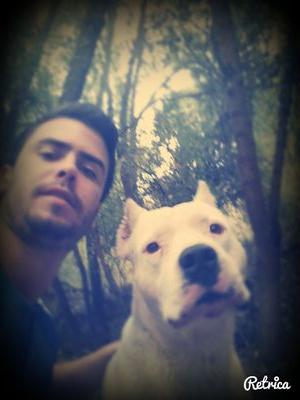 jng_ktm's profile picture. !Tú mente es el límite!