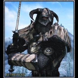Dragonborn, Professional Dragonslayer and the savior of Skyrim.