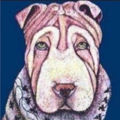 Shar Pei Rescue Scotland. Co-ordinating the adoption and fostering of Shar Pei in Scotland and the UK. PayPal donations: donations_sprss@aol.com