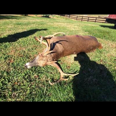 SoulReaprr's profile picture. OG TapX