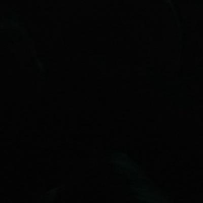 Eva_Chrisjohn's profile picture. 