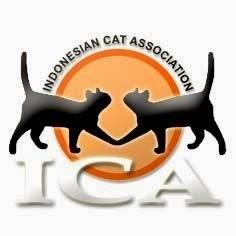 Assosiasi Pecinta Kucing Indonesia - Balikpapan
