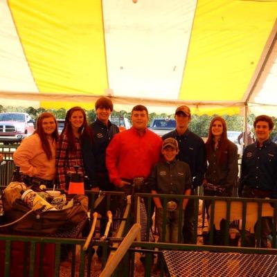 Rodeo and Pig show life