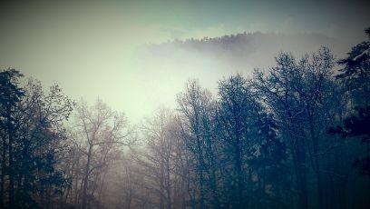 nindaene's profile picture. 