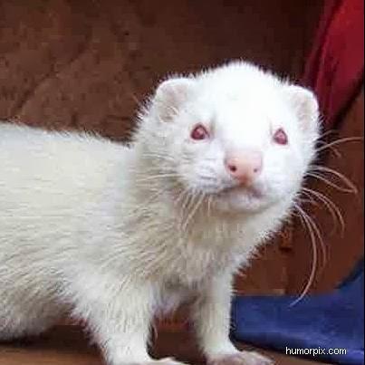 edmilsonpin88's profile picture. 