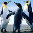 Vanessa Fields - @vfields072 - Twitter