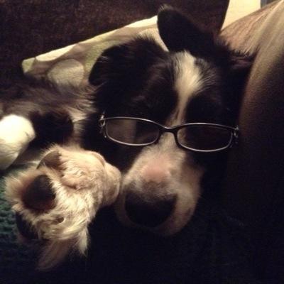 Rebecca2703's profile picture. hoomum to @merlymoo32