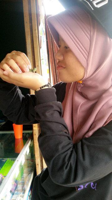 Amrizal{} | 11{} | AHA | pengusaha | 09november1996