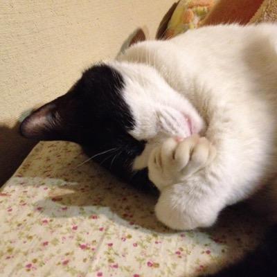本職の他にPAをしております。そして、自身のスキル向上の為に音とりをしており、それを投稿させていただいております。（アーティスト・曲の管理者からの許可は得て行っております。）投稿を許可いただいた方々には心から感謝申し上げます。またこの投稿を通じてアーティストさんを知り、興味をもっていただけるととても嬉しく思います。
