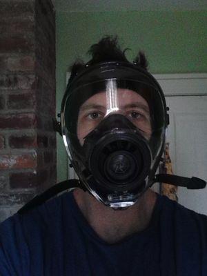 idyllicpixel's profile picture. 