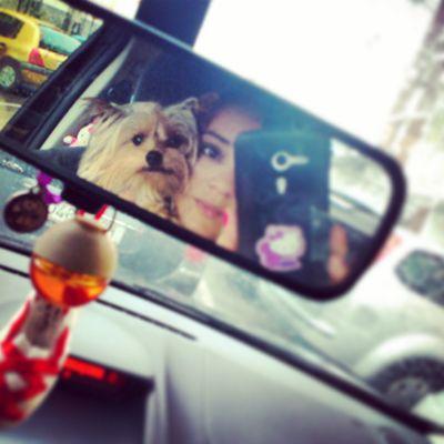 CarolinaSFN's profile picture. Cóctel de razas. Salida de Caracas. En la tierra de Cervantes. Habitante Planeta Tierra