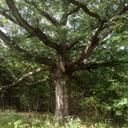 Leanne Cardwell - @lcardwell029 - Twitter