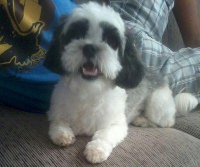 RosyFdasm's profile picture. 