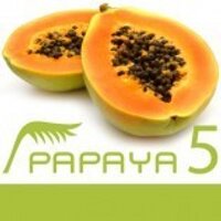 papaya CMS (@papayacms) 's Twitter Profile