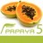 papaya CMS