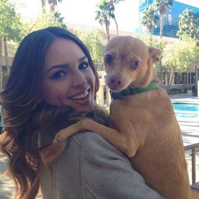Profile Picture of Eiza Gonzalez Fan (@DayanaEizatica) on Twitter