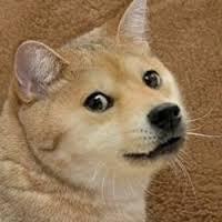 follow_evryone1's profile picture. 