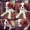 debra ball - @acclaimedwri45 - Twitter