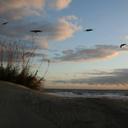 Amy Thorne - @Missamy1968 - Twitter