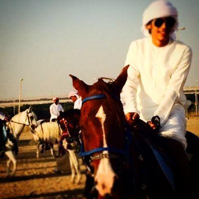 كيك : jj330ad