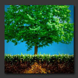 ABCNW's profile picture. Resourcing and Developing Churches that Connect People with Jesus Christ.