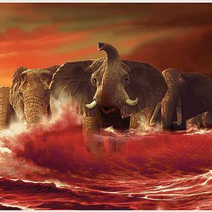 Roll Tide!