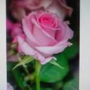 Veronica Spaulding - @princessl0llie - Twitter