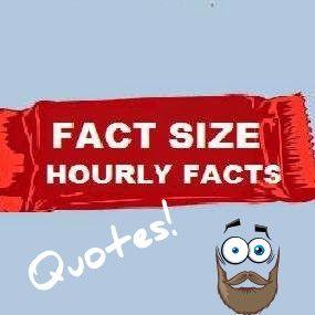 FactSizeQuotes's profile picture. Providing you with the most unimportant fun size Factual Quotes; to help you get through the day.. Creator: @BiagioDeFranco
