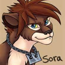 im Sora the lion. #single