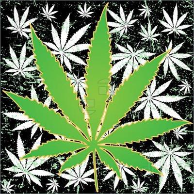 marijuana isnt addicting its just something almost everybody smokes #WeedSquad