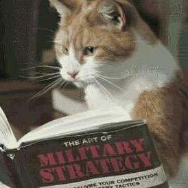 NameTorruco's profile picture. 