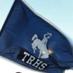 TRHS Superfans (@trhs_superfans) Twitter profile photo TRHS Superfans (@trhs_superfans) Twitter profile photo