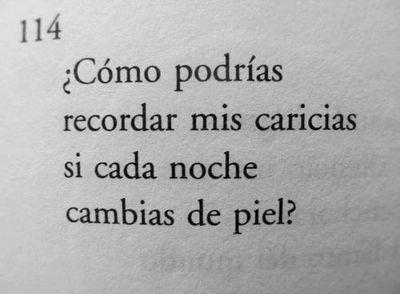buscando la felicidad