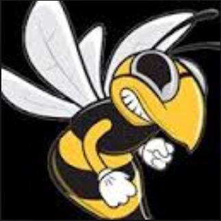 Offical Angola boys & girls Hornet swim team Twitter. #1 source for team news, scores, and updates.