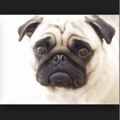 wugaga_'s profile picture. #Worldtraveller