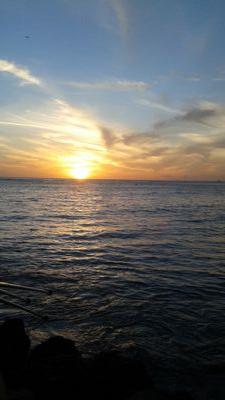 AcunaYli's profile picture. 