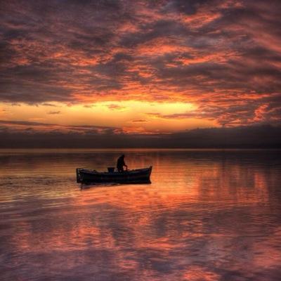 goncalves1777's profile picture. 