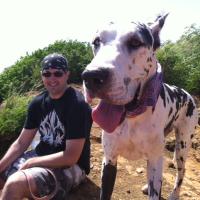 Noel Lacaillade (@voiceovnephilim) 's Twitter Profile