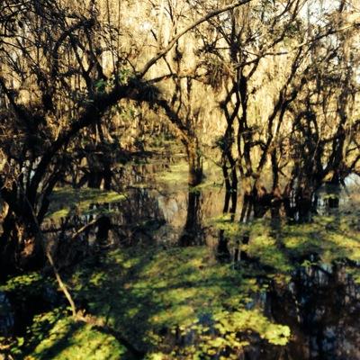 swflZsutter's profile picture. The Beach House of Naples, retail designer swimwear, family owned and operated for 32 years, great locations downtown on 3rd Street and at the Waterside Shops.