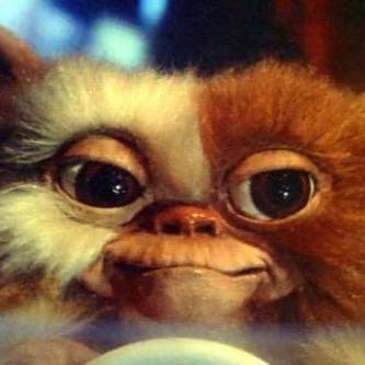 ahn_tonio10's profile picture. oi, como você, vai?