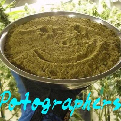 Sharing our weedventures one picture at a time! The only thing better than POTography is... pot . - Made a million out a glass jar