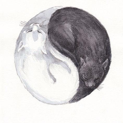 Escritora (no todo lo que publico es mío). Podés enviarme tu poema para publicarlo (si tiene más de 140 caracteres en imagen) a poesiaenimagenes@gmail.com.
