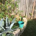 Becky Mobley - @4mobleykids - Twitter