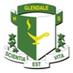 Gemini Football (@glendale_fball) Twitter profile photo