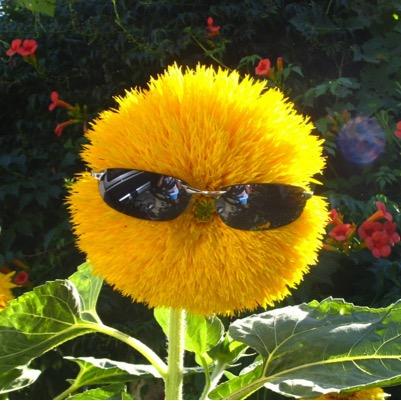 WorkoutMotiv123's profile picture. 