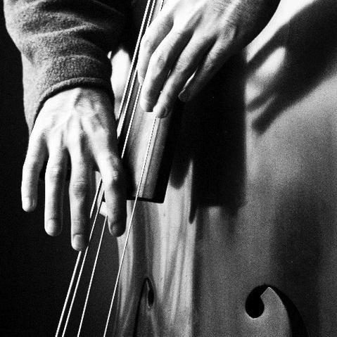 Bassist, Private Teacher, Gentleman, and Full-Time Student